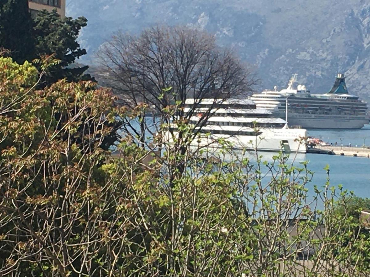 Art House 001 Hotel Kotor Kültér fotó